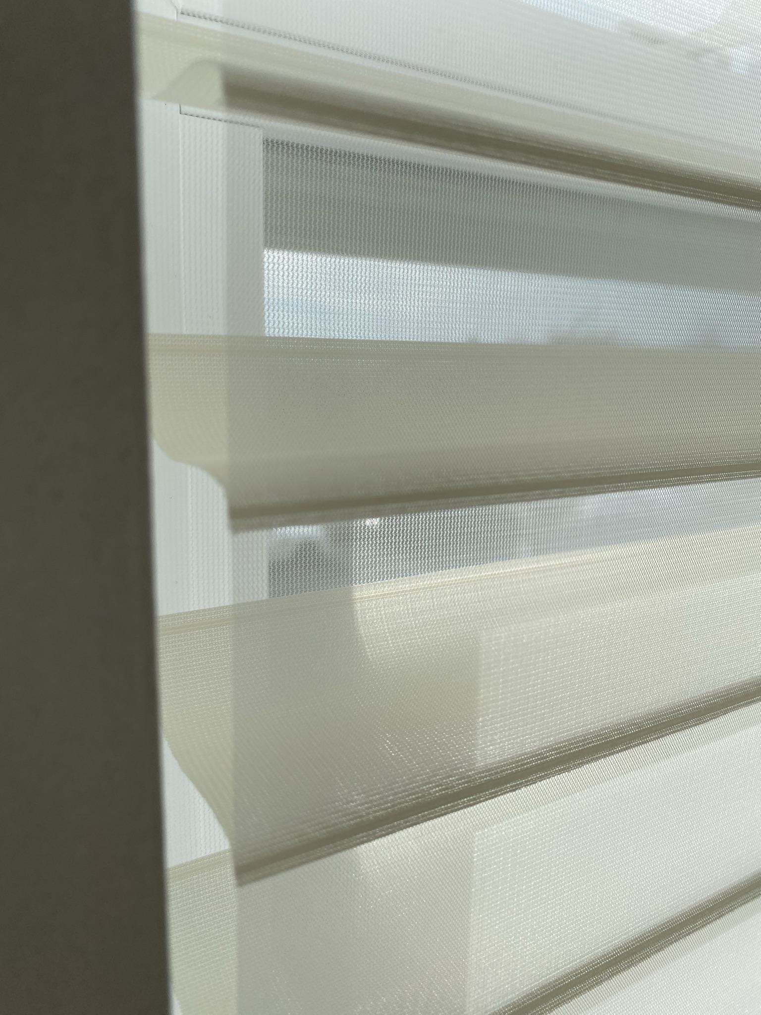 Silhouette Shadings